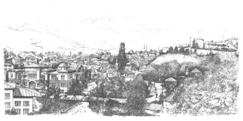 Mirko J. Gerstenhofer: Travnik